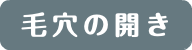 毛穴の開き