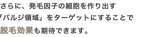 さらに、発毛因子の細胞を作り出す 「バルジ領域」をターゲットにすることで 脱毛効果も期待できます。
